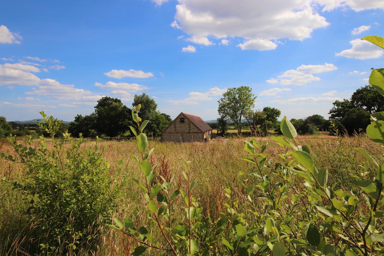 North Cottage - Country Retreat In The Heart Of Sussex -Twineham المظهر الخارجي الصورة